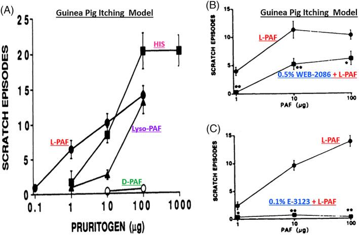 https://cdn.ncbi.nlm.nih.gov/pmc/blobs/3d15/10084252/a8b3d044a893/BIOF-48-1226-g015.jpg