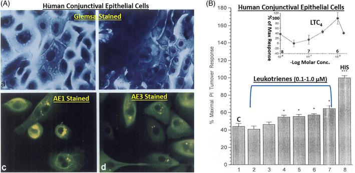 https://cdn.ncbi.nlm.nih.gov/pmc/blobs/3d15/10084252/af4b3974b42a/BIOF-48-1226-g009.jpg