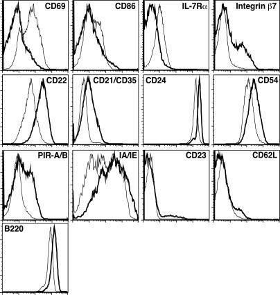 https://cdn.ncbi.nlm.nih.gov/pmc/blobs/3d16/1065686/031b5d2acb52/pbio.0030082.g005.jpg