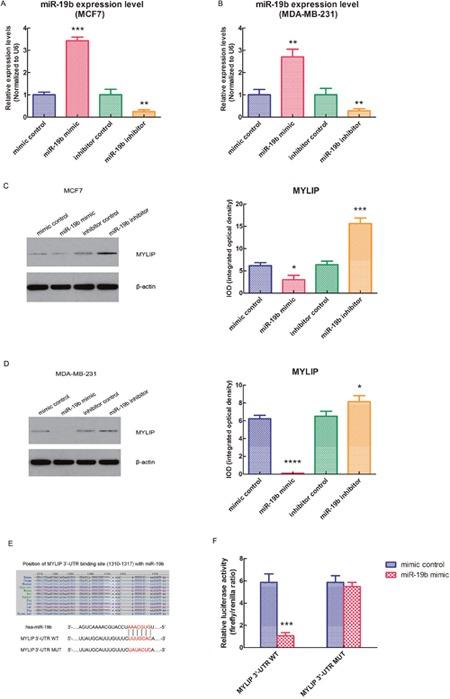 https://cdn.ncbi.nlm.nih.gov/pmc/blobs/3d16/5610006/07cc874d8666/oncotarget-08-64330-g002.jpg