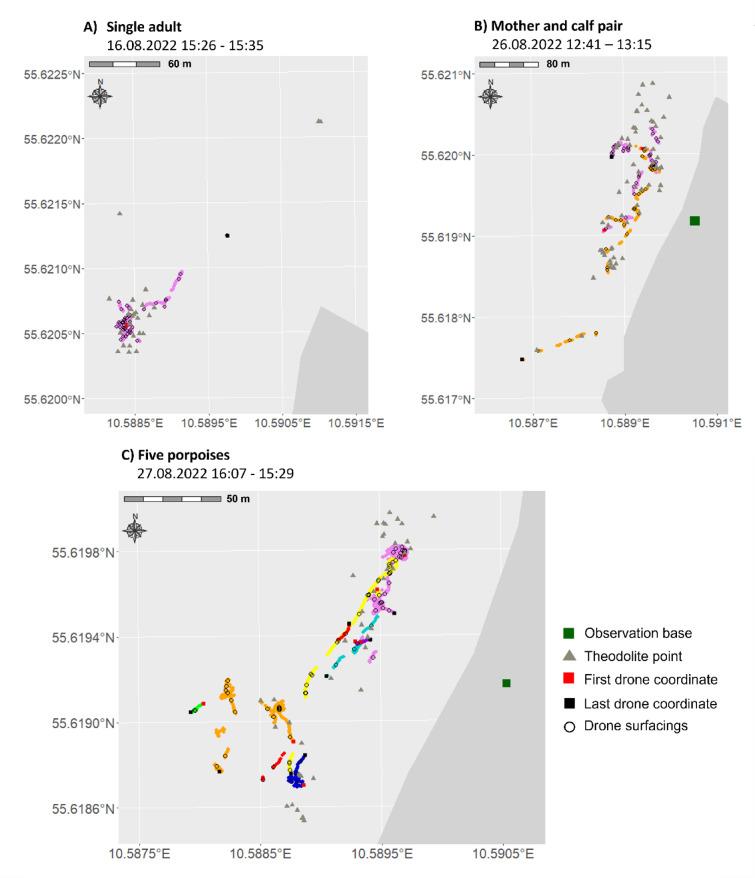 https://cdn.ncbi.nlm.nih.gov/pmc/blobs/3d17/12198396/079534e66047/41598_2025_6978_Fig4_HTML.jpg