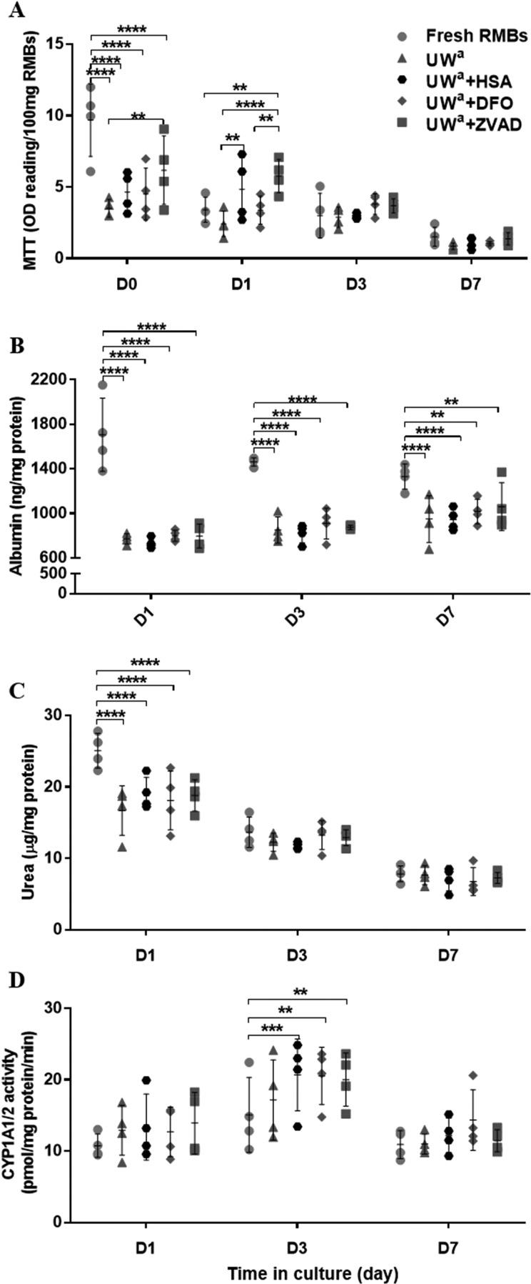 https://cdn.ncbi.nlm.nih.gov/pmc/blobs/3d18/5680969/dcc0078e5c58/10.1177_0963689717720050-fig6.jpg