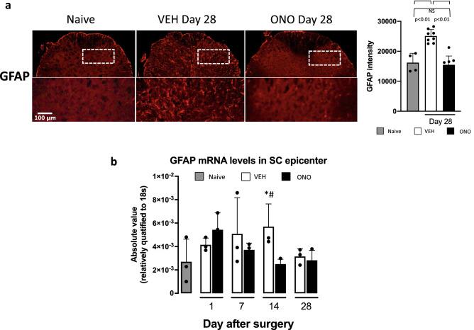 https://cdn.ncbi.nlm.nih.gov/pmc/blobs/3d19/7889906/34ee141034a3/41598_2021_83569_Fig6_HTML.jpg