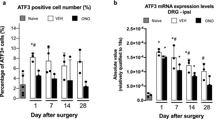 https://cdn.ncbi.nlm.nih.gov/pmc/blobs/3d19/7889906/ed554ac71d53/41598_2021_83569_Fig3_HTML.jpg