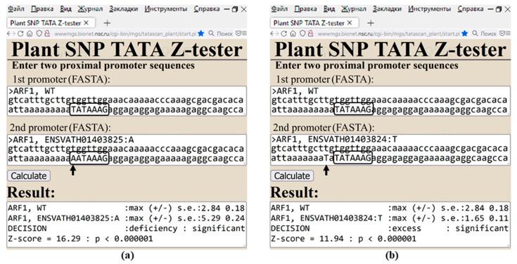 https://cdn.ncbi.nlm.nih.gov/pmc/blobs/3d1b/10779315/18c914c3b4c2/ijms-25-00607-g005.jpg