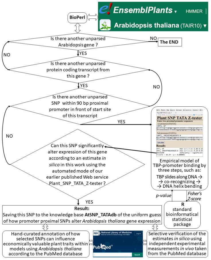 https://cdn.ncbi.nlm.nih.gov/pmc/blobs/3d1b/10779315/7e78885a8a1f/ijms-25-00607-g001.jpg
