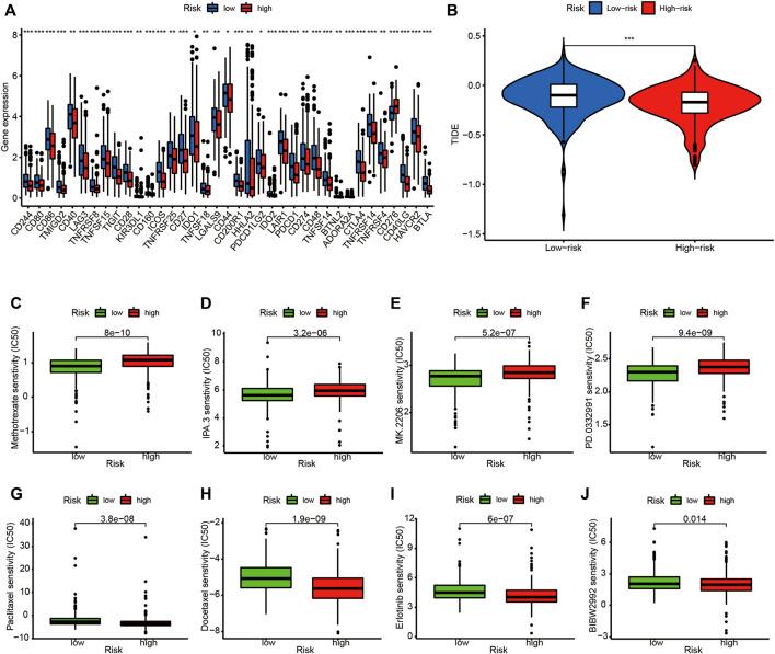 https://cdn.ncbi.nlm.nih.gov/pmc/blobs/3d1b/9669975/4e8d904bf8e2/fgene-13-951311-g012.jpg