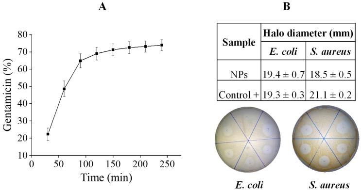 https://cdn.ncbi.nlm.nih.gov/pmc/blobs/3d1d/12390268/1cd6929d6526/polymers-17-02261-g002.jpg