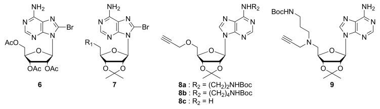 https://cdn.ncbi.nlm.nih.gov/pmc/blobs/3d1d/7660225/44c5c7ff13db/molecules-25-04893-g003.jpg