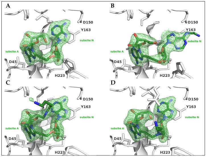 https://cdn.ncbi.nlm.nih.gov/pmc/blobs/3d1d/7660225/ca4424653544/molecules-25-04893-g004.jpg