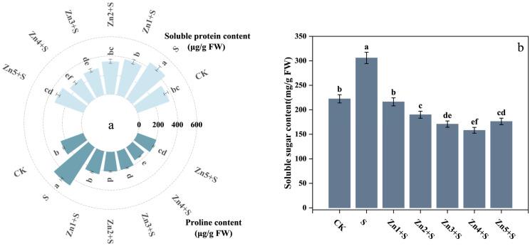 https://cdn.ncbi.nlm.nih.gov/pmc/blobs/3d1e/12197063/b5d26e533752/plants-14-01763-g005.jpg
