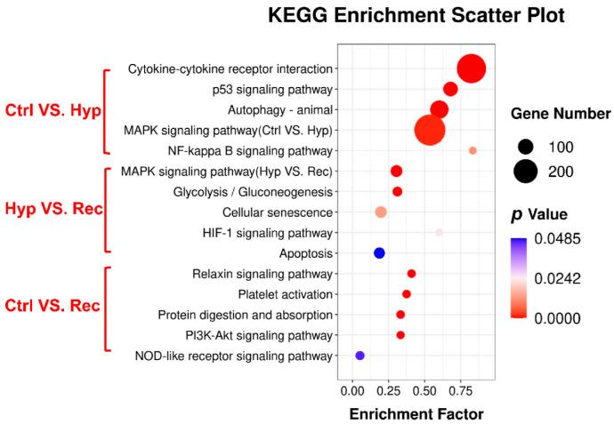 https://cdn.ncbi.nlm.nih.gov/pmc/blobs/3d1e/9854696/5a10925b7e6e/antioxidants-12-00001-g006.jpg