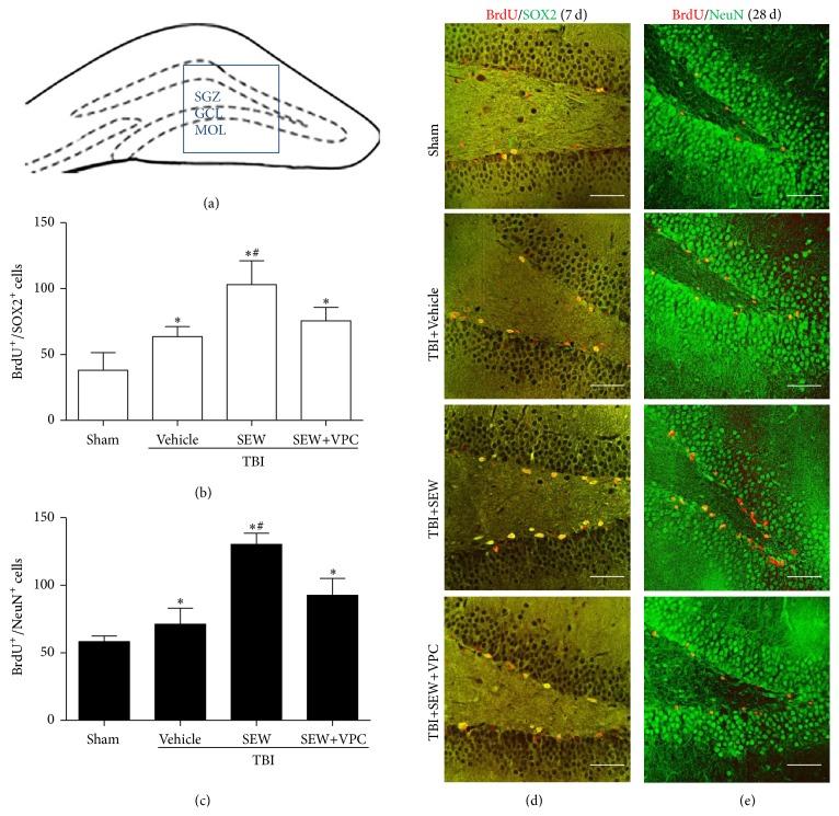 https://cdn.ncbi.nlm.nih.gov/pmc/blobs/3d1f/5153466/420bb7f2ae38/NP2016-8072156.003.jpg