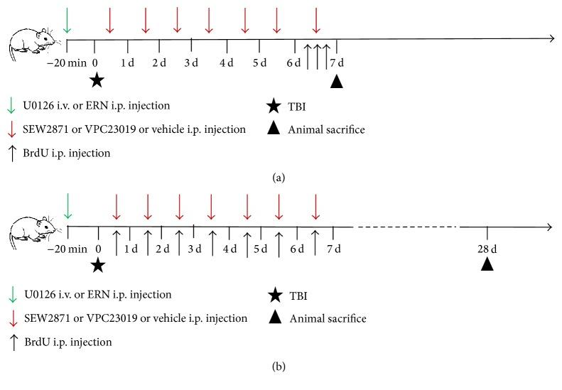 https://cdn.ncbi.nlm.nih.gov/pmc/blobs/3d1f/5153466/44f91cc33e32/NP2016-8072156.001.jpg