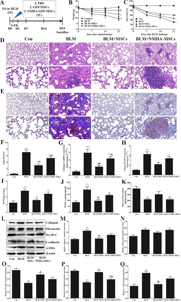 https://cdn.ncbi.nlm.nih.gov/pmc/blobs/3d20/6172623/0aafea8e172f/zh50071874590007.jpg