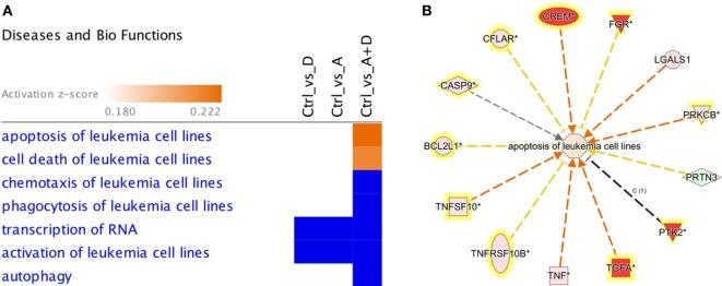https://cdn.ncbi.nlm.nih.gov/pmc/blobs/3d23/5309231/a3a15b234f82/fonc-07-00019-g003.jpg