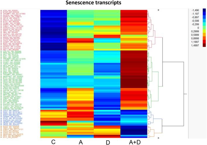 https://cdn.ncbi.nlm.nih.gov/pmc/blobs/3d23/5309231/b421b617a249/fonc-07-00019-g006.jpg