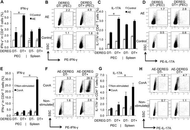 https://cdn.ncbi.nlm.nih.gov/pmc/blobs/3d23/5691311/01937e0cc855/IID3-5-435-g006.jpg
