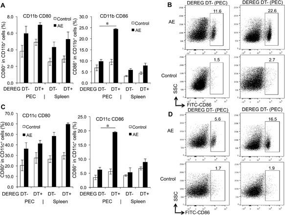https://cdn.ncbi.nlm.nih.gov/pmc/blobs/3d23/5691311/d960a0e66069/IID3-5-435-g004.jpg