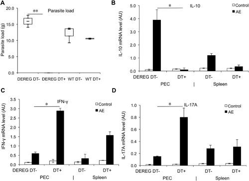 https://cdn.ncbi.nlm.nih.gov/pmc/blobs/3d23/5691311/fc409d2c4c06/IID3-5-435-g007.jpg
