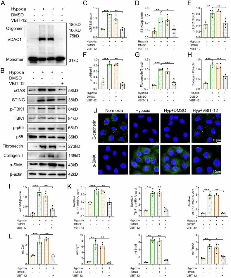 https://cdn.ncbi.nlm.nih.gov/pmc/blobs/3d25/11228024/15b7953ddd6a/41420_2024_2087_Fig6_HTML.jpg