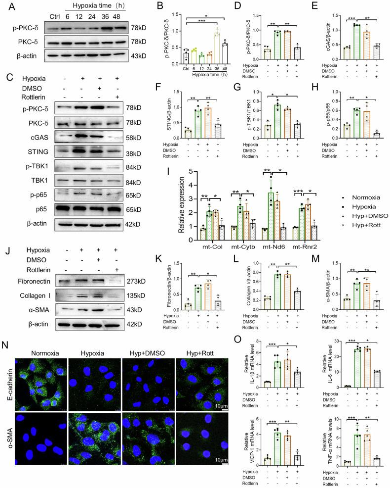 https://cdn.ncbi.nlm.nih.gov/pmc/blobs/3d25/11228024/e98238611769/41420_2024_2087_Fig7_HTML.jpg