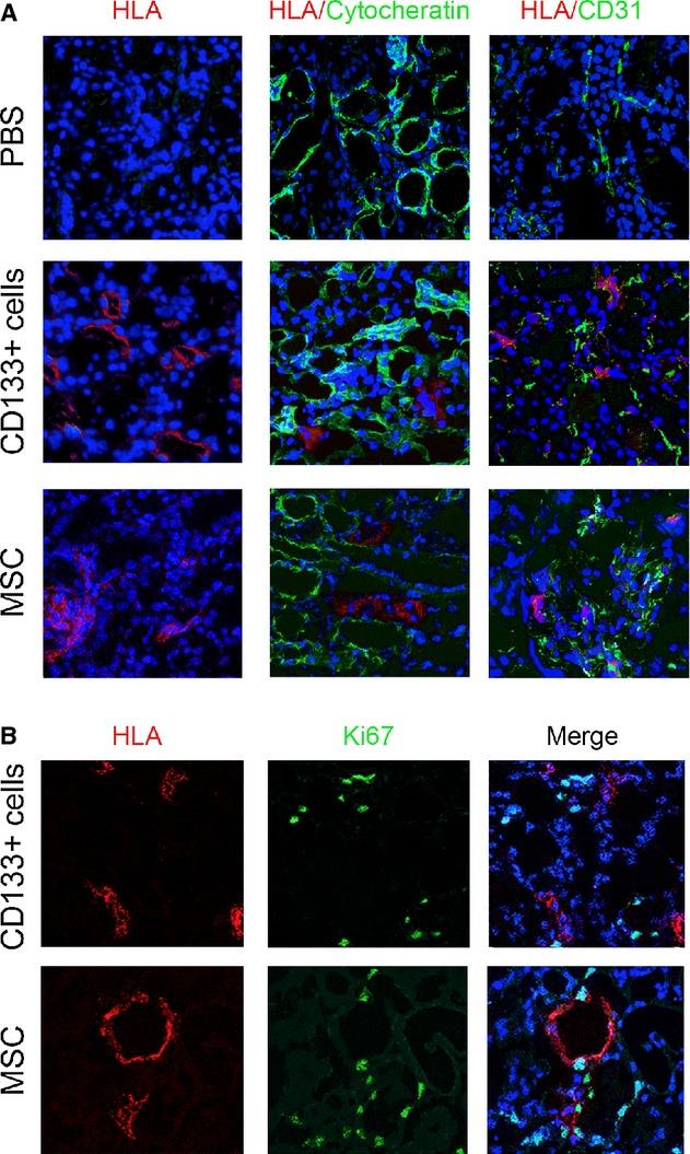 https://cdn.ncbi.nlm.nih.gov/pmc/blobs/3d25/4098737/4c8a3341b94a/phy2-2-e12009-g5.jpg