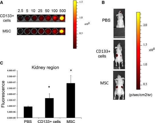 https://cdn.ncbi.nlm.nih.gov/pmc/blobs/3d25/4098737/8d944f810176/phy2-2-e12009-g3.jpg
