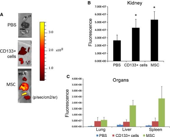 https://cdn.ncbi.nlm.nih.gov/pmc/blobs/3d25/4098737/c95b98c68876/phy2-2-e12009-g4.jpg