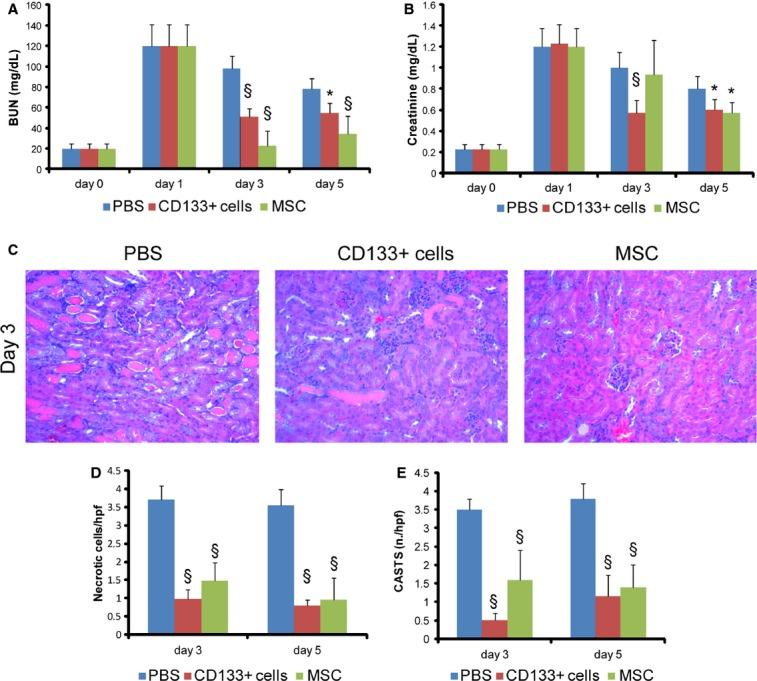 https://cdn.ncbi.nlm.nih.gov/pmc/blobs/3d25/4098737/d81b5e9b683c/phy2-2-e12009-g1.jpg