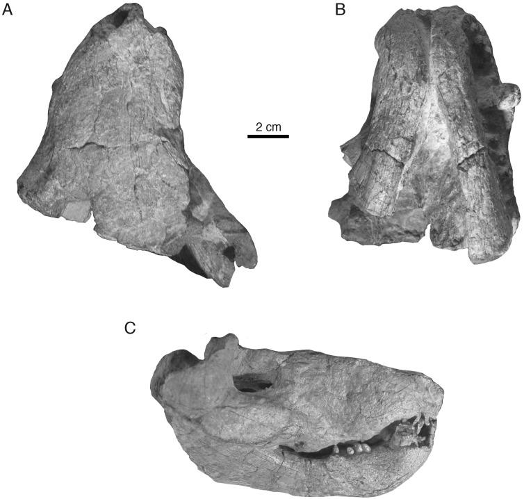 https://cdn.ncbi.nlm.nih.gov/pmc/blobs/3d25/5632541/1a9c14124ca6/peerj-05-3868-g002.jpg