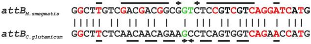 https://cdn.ncbi.nlm.nih.gov/pmc/blobs/3d25/8715038/6900fb44015c/fbioe-09-751334-g002.jpg