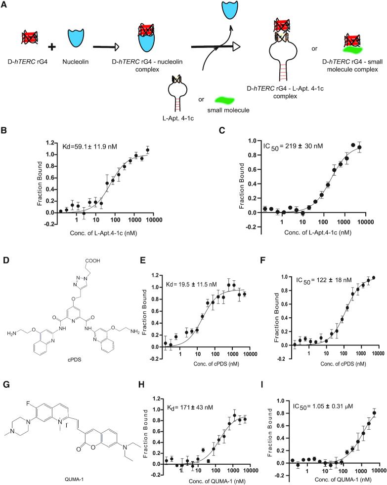 https://cdn.ncbi.nlm.nih.gov/pmc/blobs/3d29/7544233/7c4184d7937a/gkaa759fig7.jpg