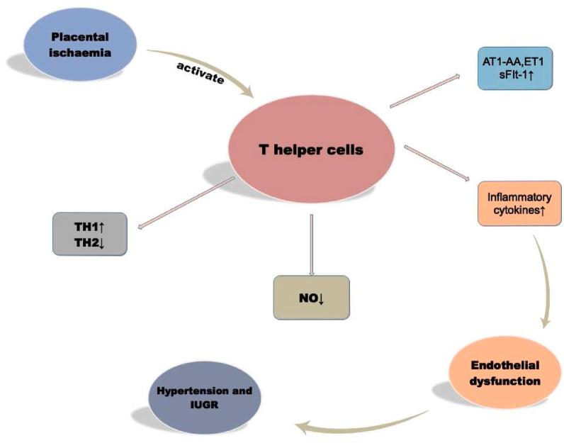 https://cdn.ncbi.nlm.nih.gov/pmc/blobs/3d2a/12212678/772b30e676f4/gr2.jpg