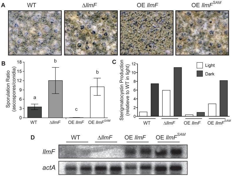 https://cdn.ncbi.nlm.nih.gov/pmc/blobs/3d2a/3547832/509cc86b0aec/pgen.1003193.g006.jpg