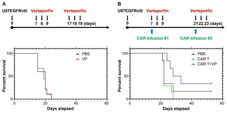 https://cdn.ncbi.nlm.nih.gov/pmc/blobs/3d2a/9953964/10c6452538b2/cancers-15-01085-g008.jpg