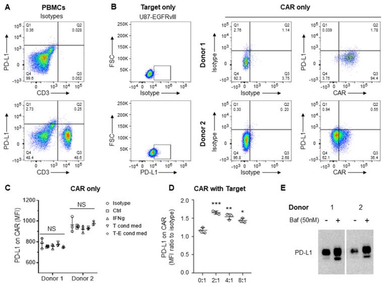 https://cdn.ncbi.nlm.nih.gov/pmc/blobs/3d2a/9953964/c1a1012f7d90/cancers-15-01085-g006.jpg