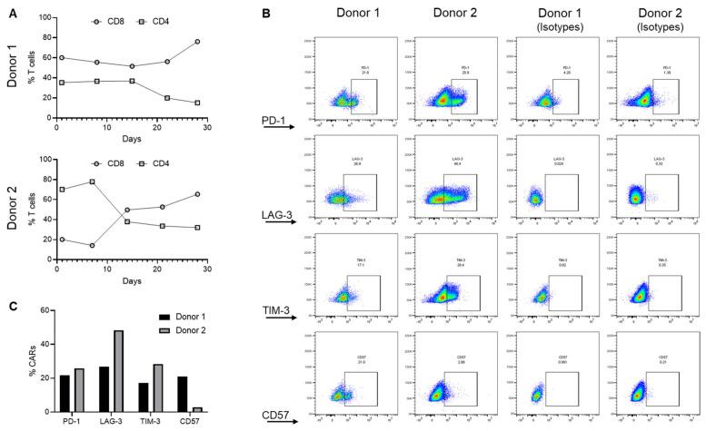 https://cdn.ncbi.nlm.nih.gov/pmc/blobs/3d2a/9953964/d15fc4dcee55/cancers-15-01085-g003.jpg