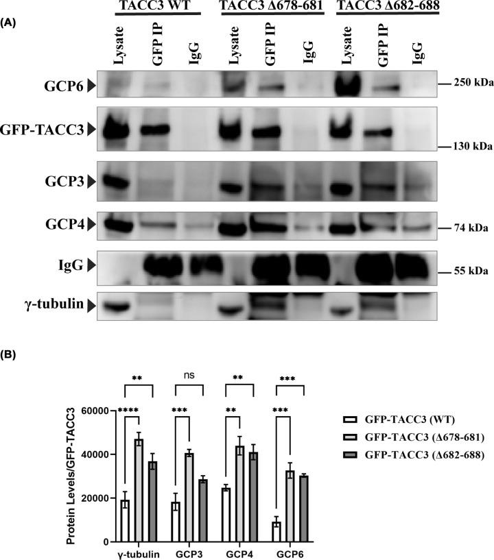 https://cdn.ncbi.nlm.nih.gov/pmc/blobs/3d2e/10037420/8b332b36143a/bsr-43-bsr20221882-g3.jpg
