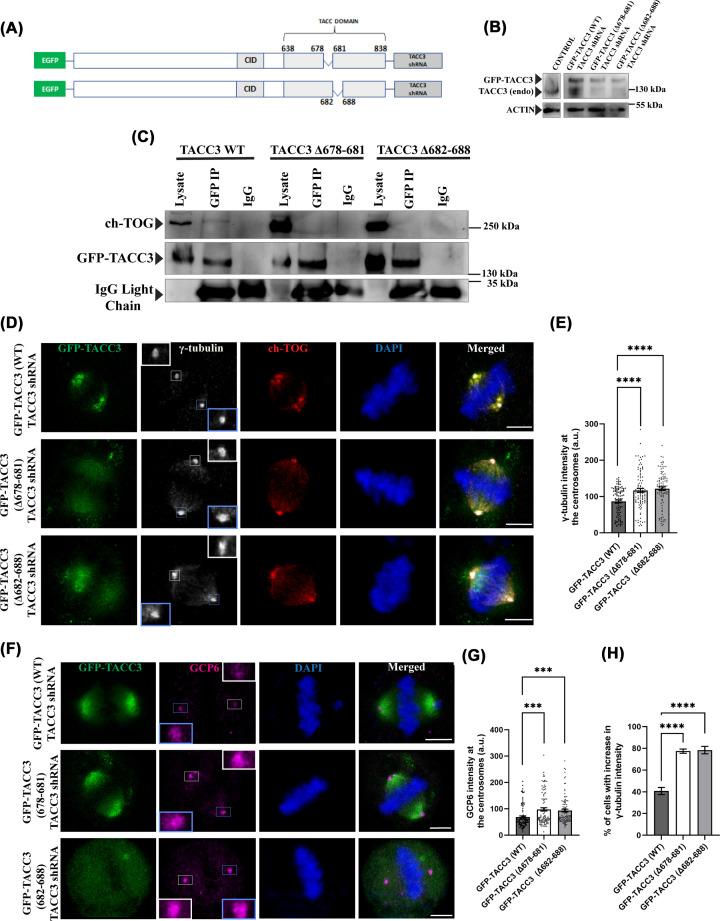 https://cdn.ncbi.nlm.nih.gov/pmc/blobs/3d2e/10037420/ab72c7c75633/bsr-43-bsr20221882-g1.jpg