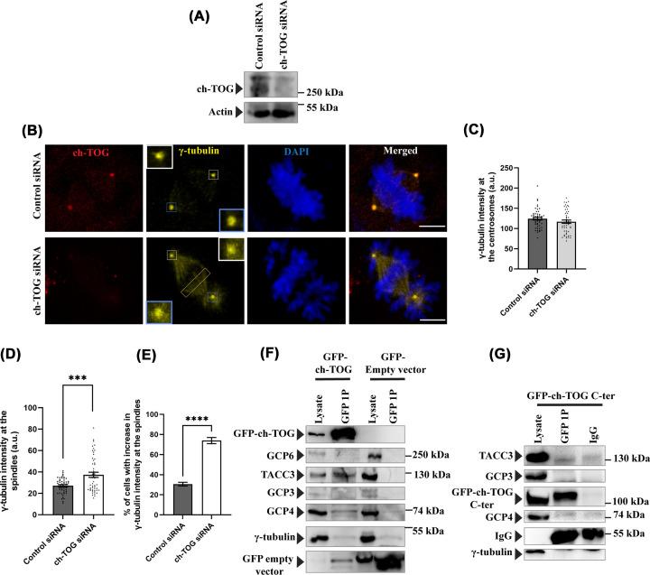 https://cdn.ncbi.nlm.nih.gov/pmc/blobs/3d2e/10037420/e1dbcdfaab76/bsr-43-bsr20221882-g6.jpg