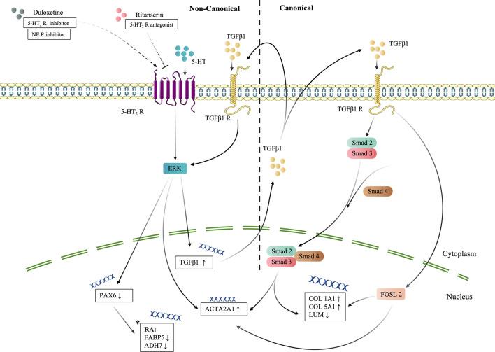 https://cdn.ncbi.nlm.nih.gov/pmc/blobs/3d2e/11494677/a5d2e623bc14/40123_2024_1032_Fig6_HTML.jpg