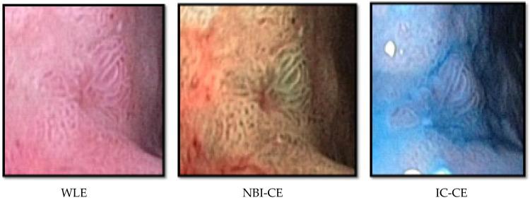 https://cdn.ncbi.nlm.nih.gov/pmc/blobs/3d2e/9454935/d9c33fda8310/animals-12-02253-g002.jpg