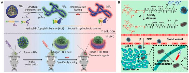 https://cdn.ncbi.nlm.nih.gov/pmc/blobs/3d31/11959941/a0923c16d154/gr2.jpg