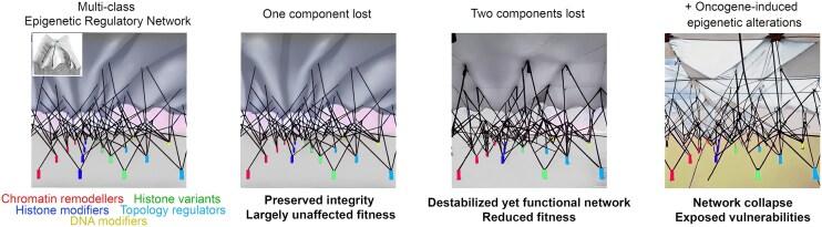 https://cdn.ncbi.nlm.nih.gov/pmc/blobs/3d32/12000879/56b5c7beb532/gkaf297figgra1.jpg