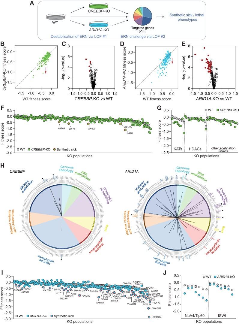 https://cdn.ncbi.nlm.nih.gov/pmc/blobs/3d32/12000879/96af27e7204d/gkaf297fig3.jpg