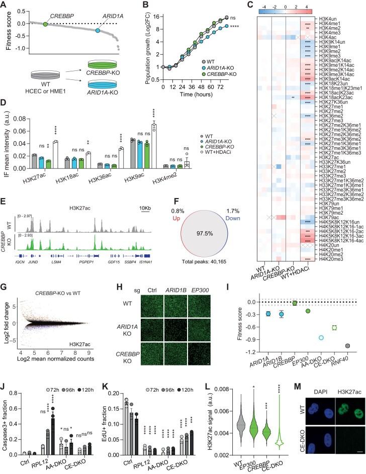 https://cdn.ncbi.nlm.nih.gov/pmc/blobs/3d32/12000879/97ed918cc38d/gkaf297fig2.jpg