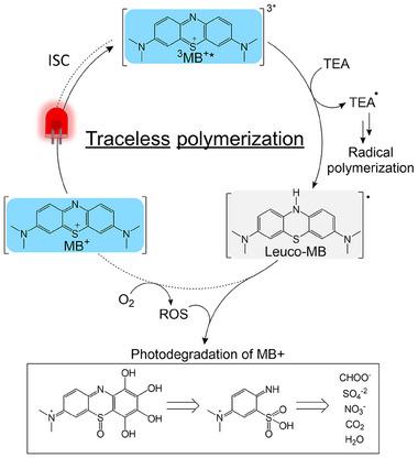 https://cdn.ncbi.nlm.nih.gov/pmc/blobs/3d32/12306389/1d4ad2b97189/ADMA-37-2502386-g001.jpg