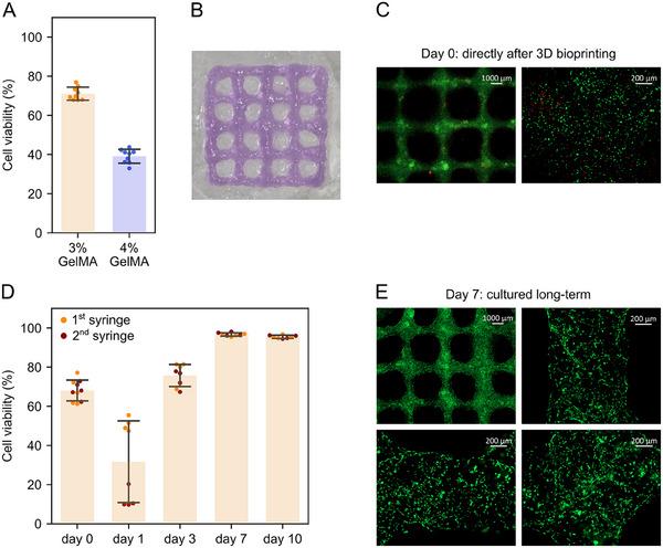 https://cdn.ncbi.nlm.nih.gov/pmc/blobs/3d32/12306389/4550c65c1a89/ADMA-37-2502386-g006.jpg