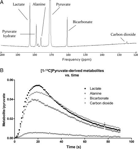 https://cdn.ncbi.nlm.nih.gov/pmc/blobs/3d33/2836261/11539efa5145/cvp39603.jpg